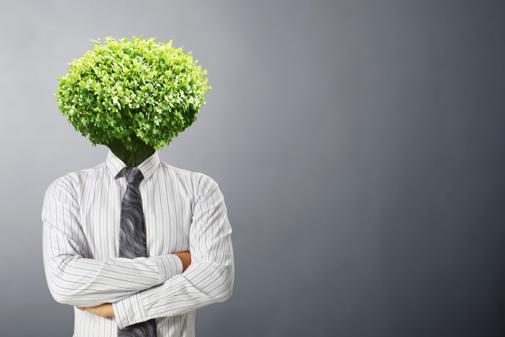 לימודי יזמות עסקית